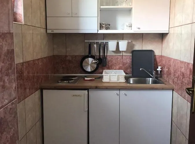 Smestaj Filipovic Daire Soko Banja